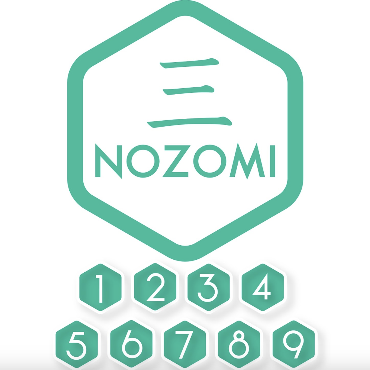 Curso de Japonés Básico-Alto Nozomi