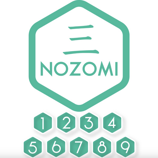 Curso de Japonés Básico-Alto Nozomi
