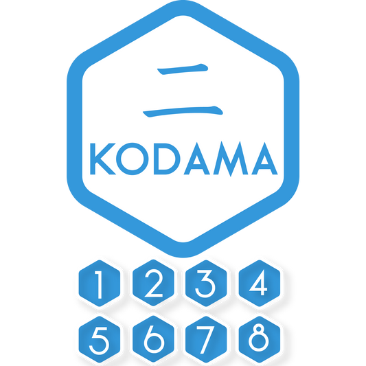 Curso de Japonés Básico Kodama