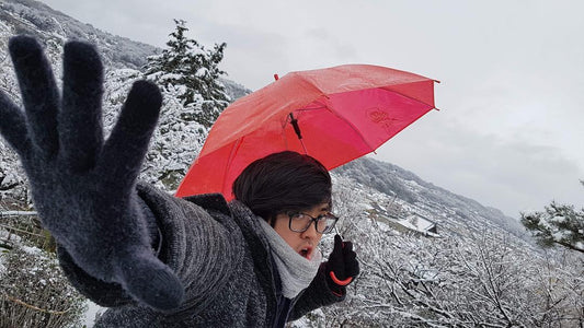 Viaje Hikari edición otoñal "Aki 秋"